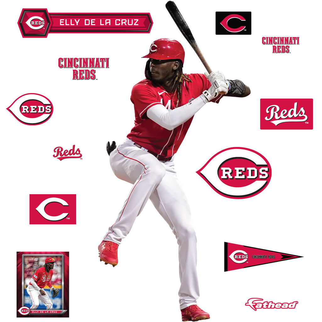 Life-Size Athlete +12 Decals  (42"W x 88"H)