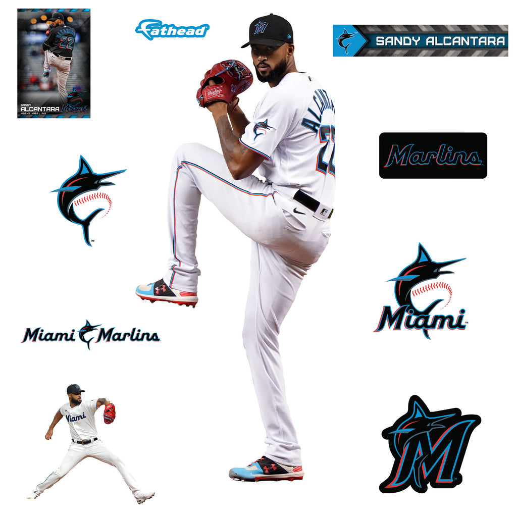 Life-Size Athlete +10 Decals  (33"W x 78"H) 